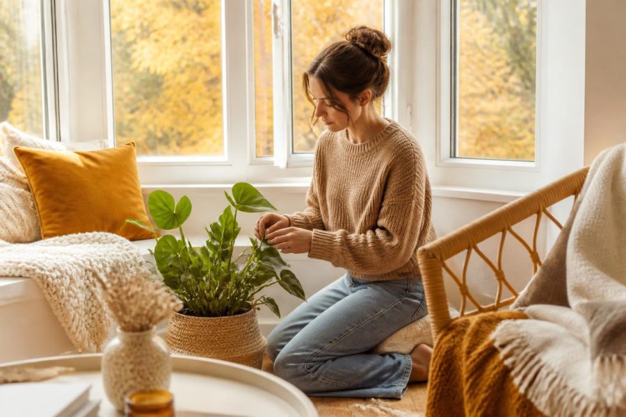 Efficient Home and Garden: A Practical Guide to Low-Muss, High-Impact Outdoor Living